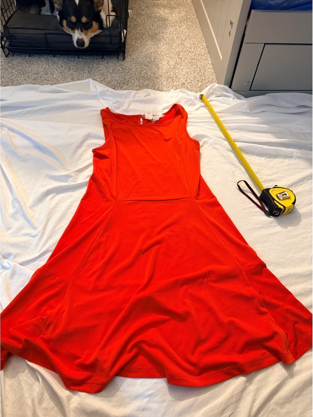 Coral Sleeveless Fit and Flare Dress Size Small